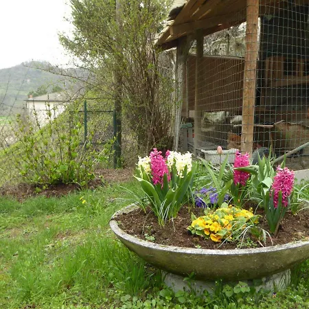 Bettolino Appartement