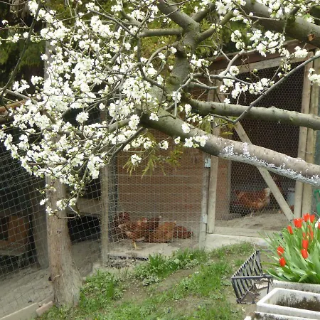 Appartement Bettolino *