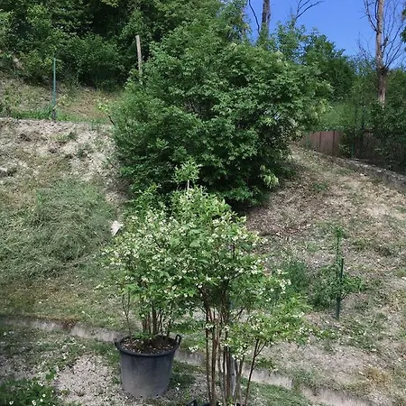 Appartement Bettolino *